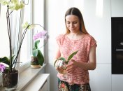 Підживлення для орхідей просте та ефективне