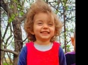 Играла возле дома и исчезла: на Николаевщине всю ночь искали двухлетнюю девочку (фото)