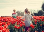 Есть возможность получения для некоторых граждан от 4500 до 5600 гривен