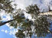 Гавриил Благовест: приметы и обряды 8 апреля