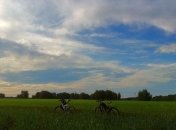 Земельні ділянки в Україні реєструватимуть за новим принципом