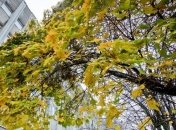 В Украине объявили штормовое предупреждение