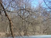 Погода в Украине на 19 февраля: на западе - мокрый снег с дождем