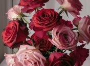 Розы следует защищать от вредителей (изображение создано с помощью ИИ)