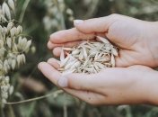 Какой праздник 7 мая: народные приметы и запреты