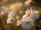 Погода в Украине 28 июня: во всех областях дожди с грозой 