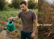 Поливати рослини потрібно грамотно