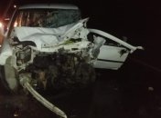 Страшное ДТП в Запорожской области: 4 человека погибли (Фото)