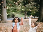 Гороскоп для Скорпіонів, Раків та Тельців