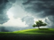 Прогноз погоды в Украине до конца рабочей недели