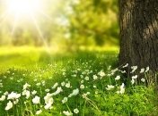 Синоптик дал прогноз на лето: какой месяц будет самым жарким