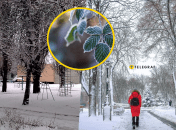 Погода в Полтавской области