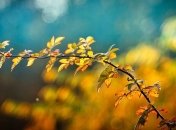 Бабье лето продолжается: прогноз погоды на 18-19 октября