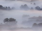 Какая погода ждет украинцев на выходные? 