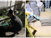 Мати поклала тіло у валізу і залила бетоном: з'явились нові подробиці вбивства дівчинки у Кривому Розі