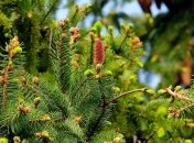 27 серпня - свято, що категорично заборонено робити, головні прикмети