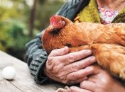 Чего ждать от цен в будущем