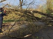 В Украине ожидается штормовой ветер