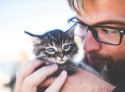 Можно подружиться с любым котом, если есть достаточно терпения и желания