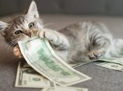 Діви та Терези, — щасливчики цього тижня