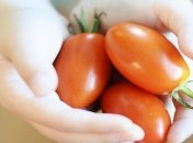 Органическая продукция и безопасность страны: ЕБА призвала внедрять законы