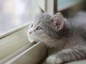 В Украине ожидается облачная и теплая погода