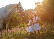 Фамилии, произошедшие от названий лошадей