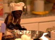 В яркой семейной комедии Гибби обезьяна избавляет от депрессии и учит обретать популярность