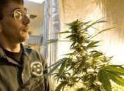 На производителя конфет с марихуаной подали в суд