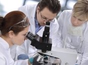 Учеными найдена новая методика лечения рака