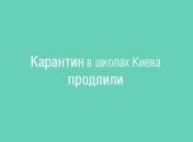 Эпидемия гриппа 2016: карантин в школах Киева продлен до 8 февраля