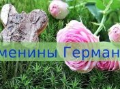 У кого сегодня день ангела: значение имени и шикарные поздравления