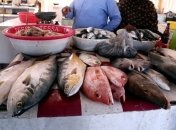 Как пахнет рыбий страх