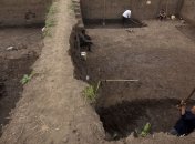 Археологи нашли 8-тонную статую животного