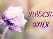 Пройдите тест и узнайте свою роль в отношениях