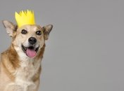 Стрільці, Козероги та Риби мають бути готовими до змін