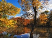 Прогноз погоды в Украине на 21 октября: ожидается ясная погода