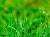 4 августа - праздник, что категорически запрещено делать, главные приметы