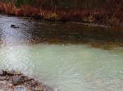 В реке Рось обнаружено превышение допустимого содержания гербицидов в 200 раз