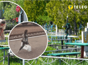 Ромы собирали конфеты на кладбищах в мешки