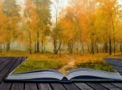 Лучшие книги ко Дню художника 