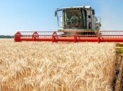 Украина увеличила экспорт сельхозпродукции в ЕС 