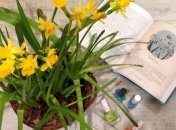 Сегодня 8 Марта - Международный женский день: история, традиции