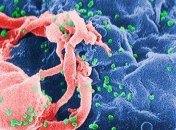 Ученые выяснили, в результате чего зародилась жизнь на Земле