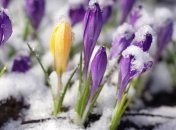 Погода в Украине 16 марта: ожидаются дожди, местами с мокрым снегом