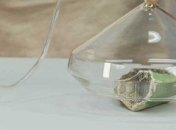 Художница научилась записывать запахи на камеру