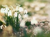 Снег с дождем надоел: синоптики рассказали, когда  в Украине ждать потепления (карты)