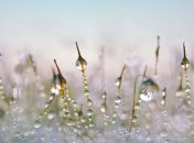 Приметы и обряды на 3 апреля – Кирилл Катаник, Фомин день