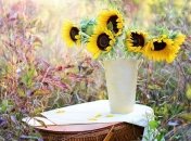 Погода 10 сентября: осень продолжает баловать летом