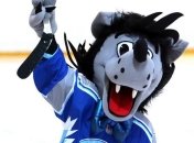 Ледяные Волки знатно усилились перед стартом сезона УХЛ